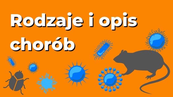 Choroby bakteryjne i wirusowe