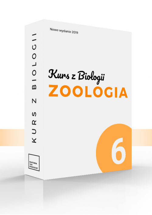 Biologia 6. Zoologia