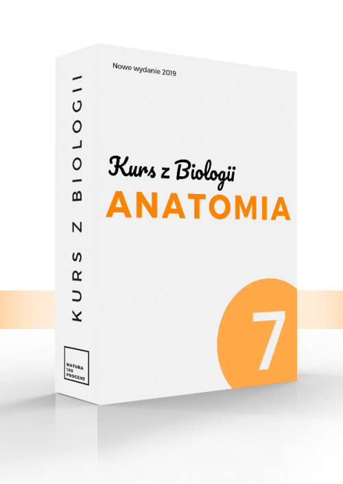 Biologia 7. Anatomia
