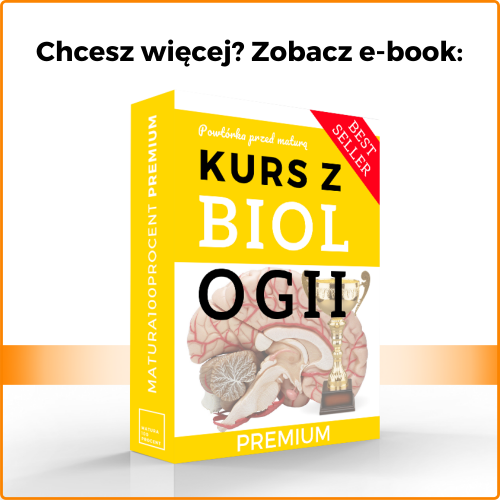 Podręcznik Do Biologii Klasa 3 Liceum Rośliny C3, C4 i CAM - porównanie - Kursy maturalne - Matura100procent